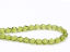 Image de 6x6 mm, perles à facettes tchèques rondes, vert olive, transparent