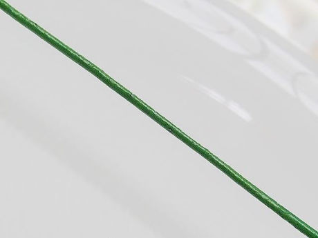 Afbeeldingen van Leren koord, 1.5 mm, varengroen, 2.5 m