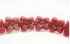 Picture of 14x13 mm, pressed Czech beads, cherry blossom flower, naphthol red, matte, old gold patina