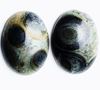 Image de 13x18 mm, ovale, cabochons de pierre gemme, jaspe crocodile ou jaspe Kambamba, naturel