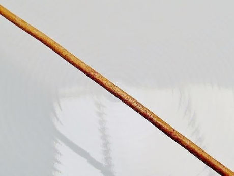 Afbeeldingen van Leren koord, 2 mm, natuurlijke kleur, 2.5 m