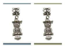 Picture of 4x6 mm, tube beads and charm, alloy, silver-plated, owl master, 2 pieces