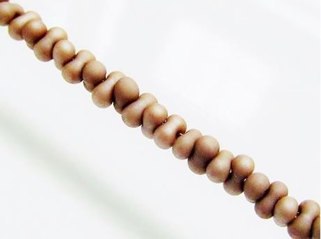 Afbeeldingen van 2x4 mm, Japanse rocaille kralen in pinda vorm, ondoorzichtig, zandsteen bruin, mat