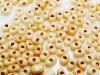 Image de 2x4 mm, perles rocaille japonaises en forme d'arachide, opaque, beige sable de mer, 20 grammes