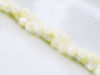 Picture of 6x6 mm, round, organic gemstone beads, seashell, white