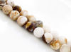 Picture of 8x8 mm, round, gemstone beads, new petrified wood, beige-brown, natural, frosted