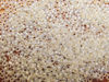 Picture of Japanese seed beads, round, size 15/0, Miyuki, gold-lined, opal white